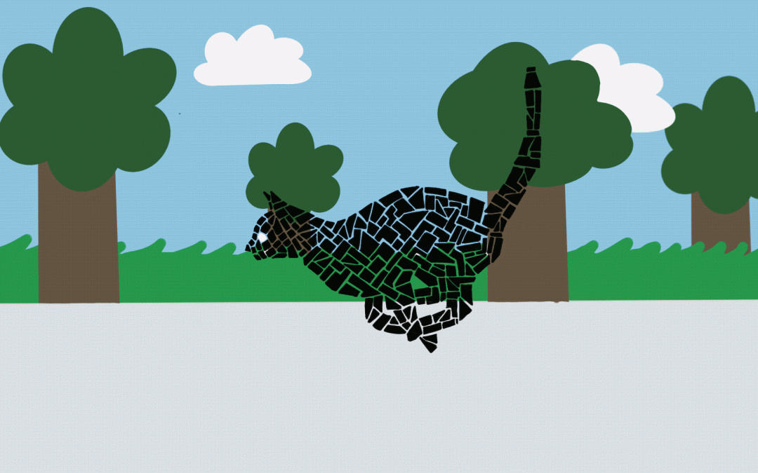 Animation de chat- Andréanne Bulot
