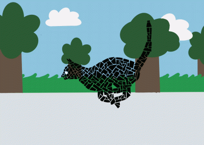 Animation de chat- Andréanne Bulot